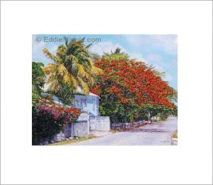 East Bay Poinciana