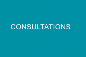 WTO Public Consultations