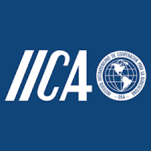 IICA Logo