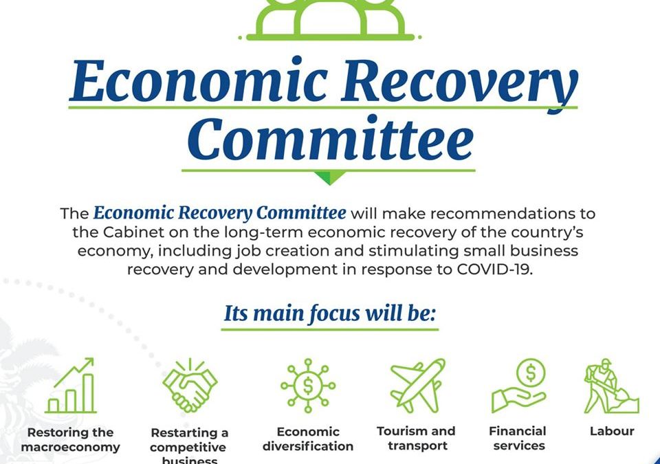 Economic Recovery Committee to Launch Consultation in July – Sub-Committees Formed to Focus on Key Sectors