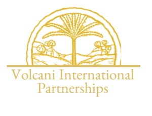 Volcani International Partnerships