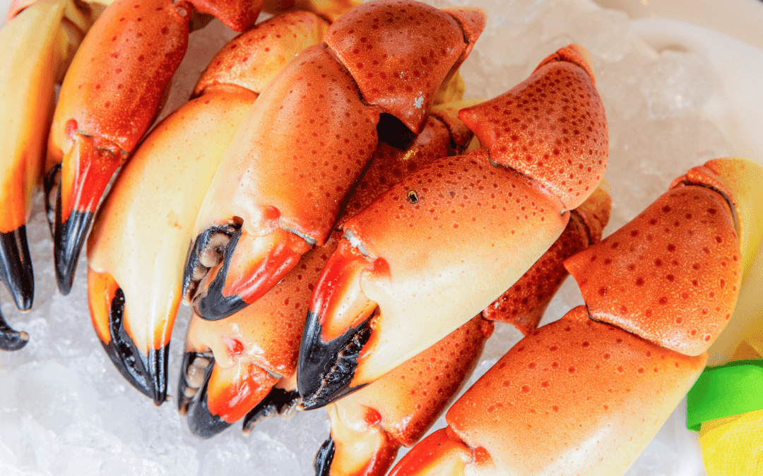 Florida Stone Crabs Inc. building $45 million aquaculture project in GB