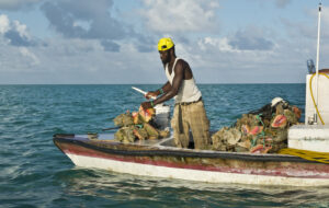 Bahamian Fisherman