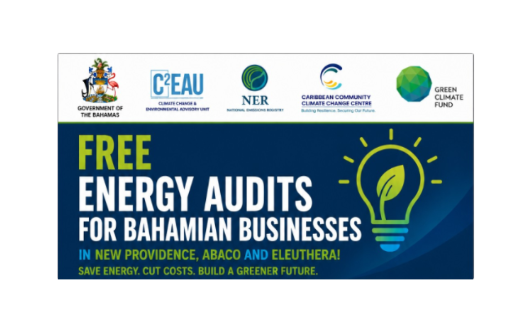 Govt offering free energy audits to MSMEs