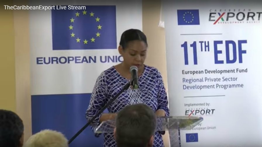 Caribbean Export Livestream Recording of EPA Workshop