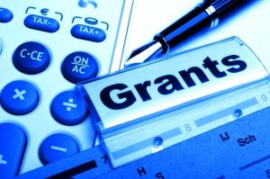 Government Grant Funding