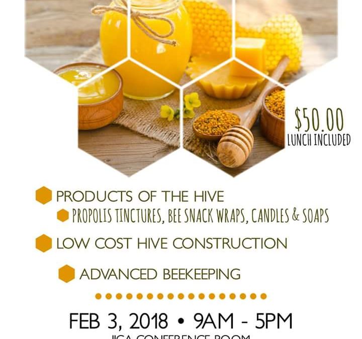 BEE-Yond the HIVE Mini Workshop, Nassau