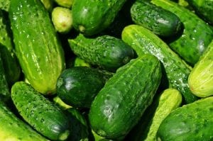 Cucumbers & Gherkins for Bahamas
