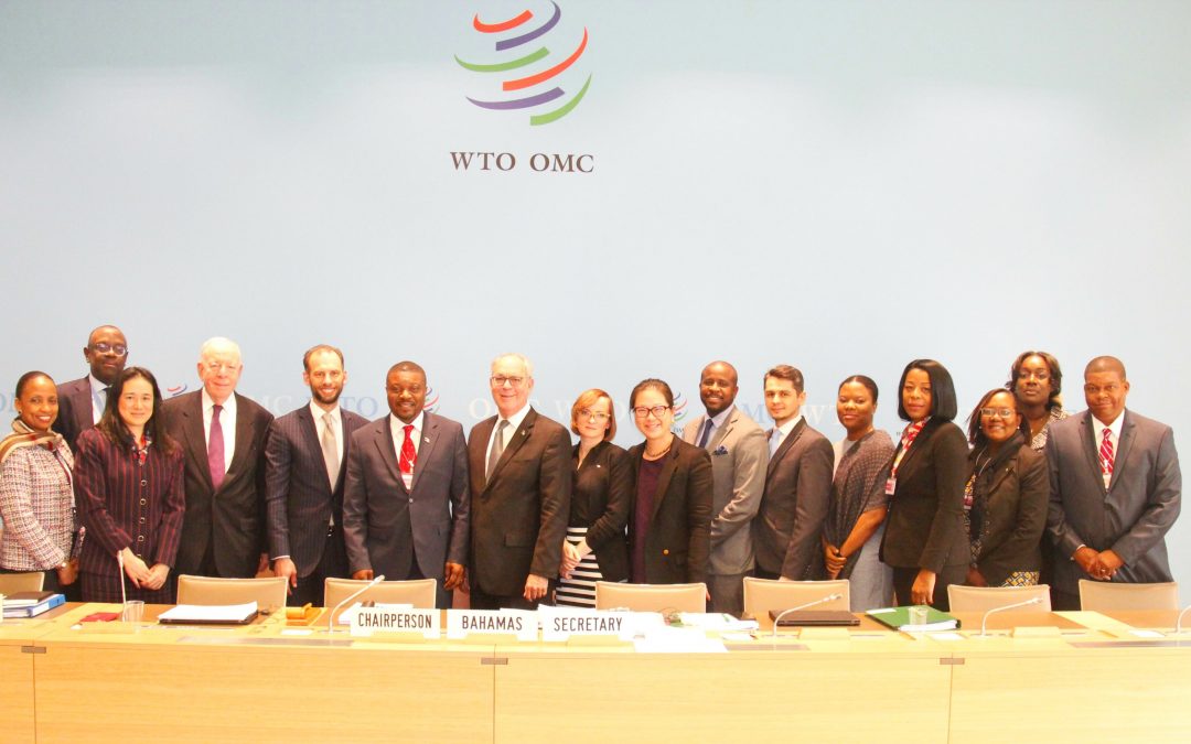 Minister of Financial Services Addresses the Fourth Meeting of the Working Party on the Accession of The Bahamas to the WTO