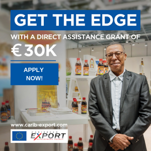The Direct Assistance Grant Scheme (DAGS)