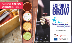 CARIFORUM-EU-Interest-Cbean-Flyer-updated (1)