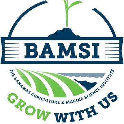 BAMSI Creates International Linkages In Dubai