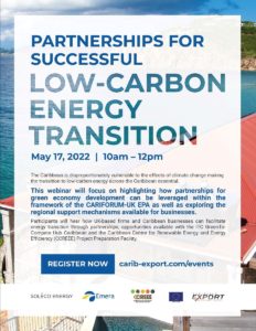 CEDA Webinar Low Carbon Energy Transition