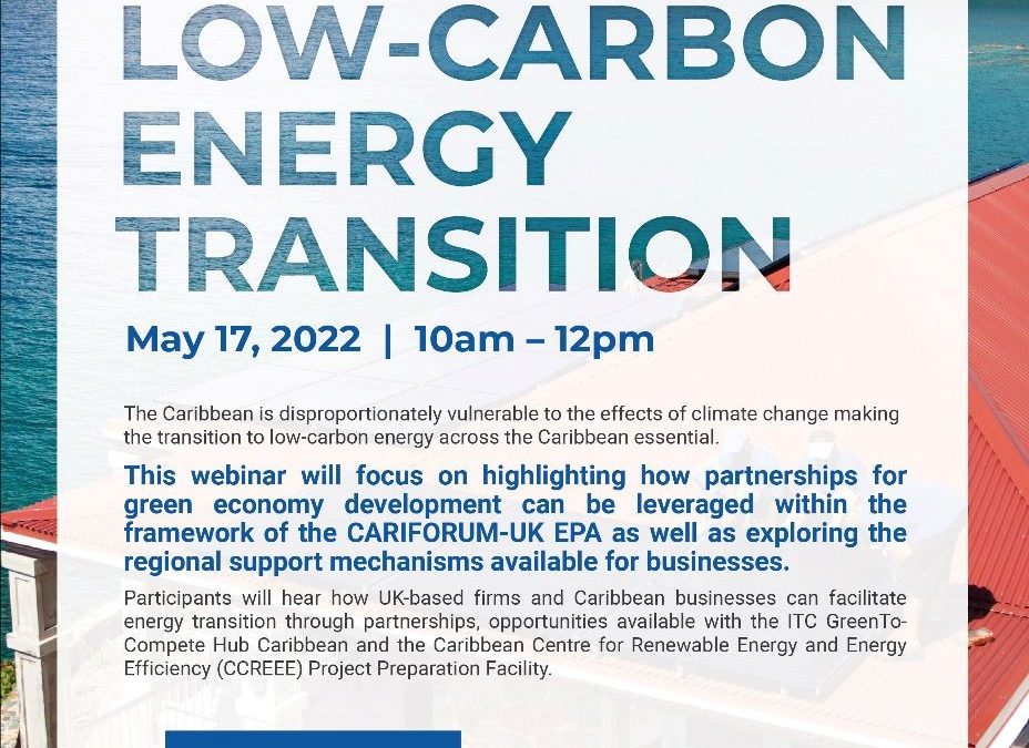 Partnerships for Successful Low-Carbon Energy Transition, Virtual