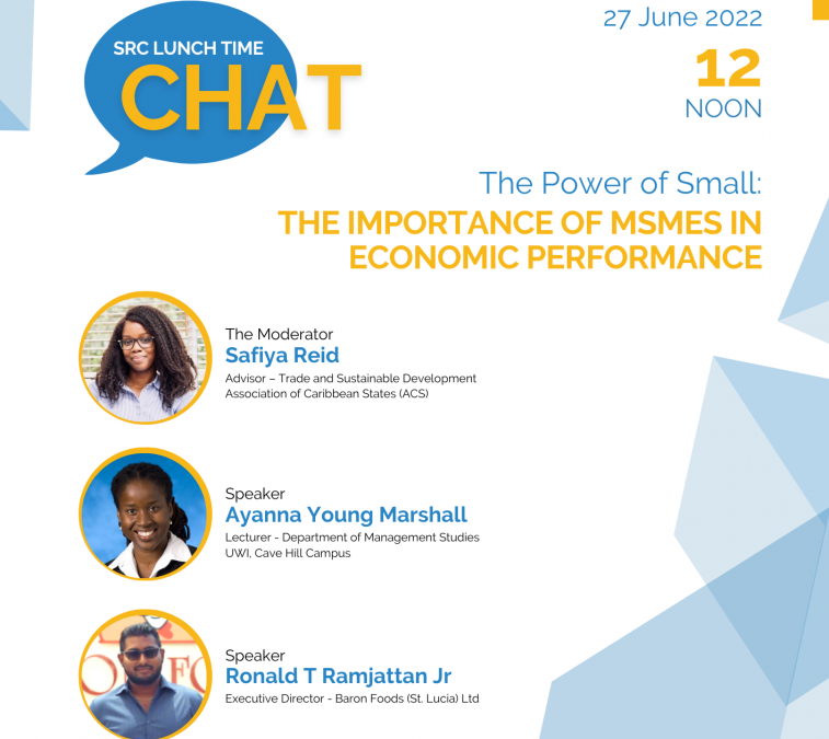 The Power of Small: The Important role of MSMEs in Economic Performance, Webinar