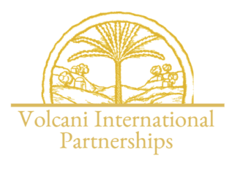 Volcani International Partnerships