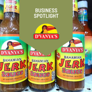 Business Spotlight - Dvanyas