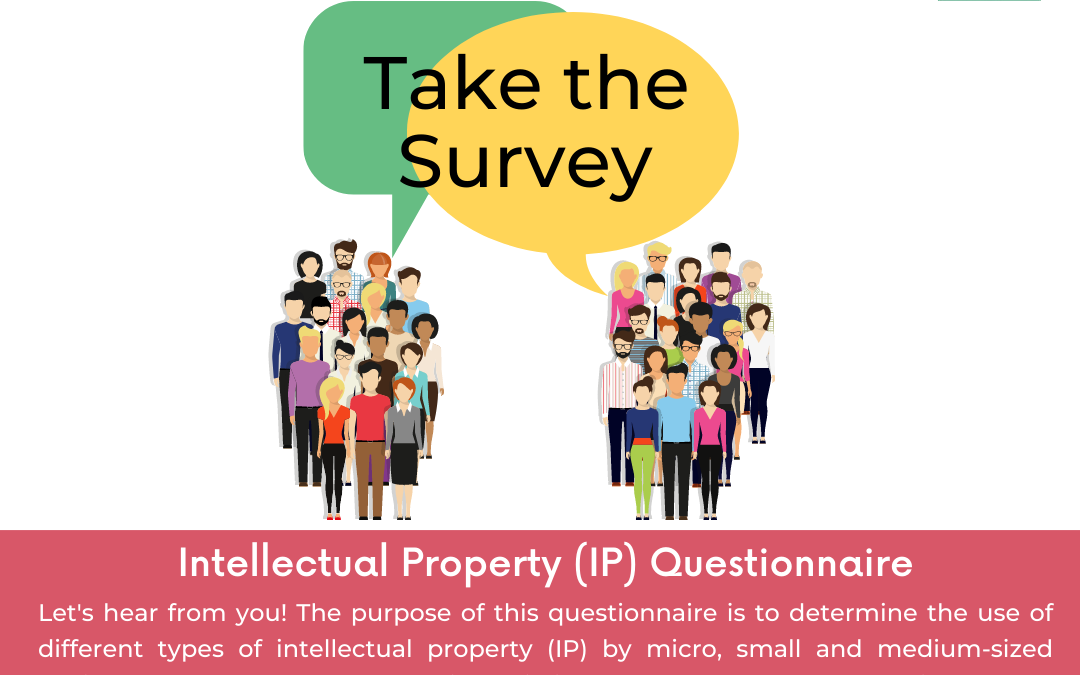 Intellectual Property (IP) Questionnaire