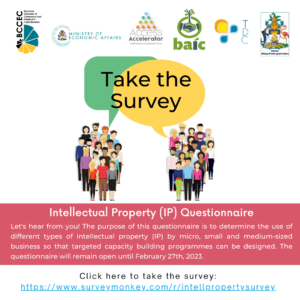 Intellectual Property Survey