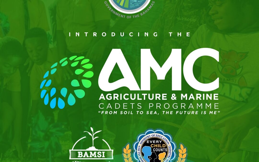 Marine cadet scheme launched