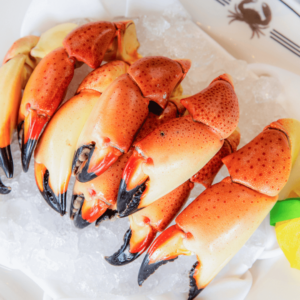 Florida Stone Crabs