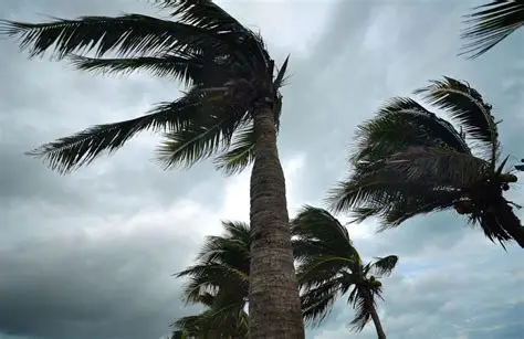 Blog Post: Hurricane Preparedness for Homes and Businesses 2026